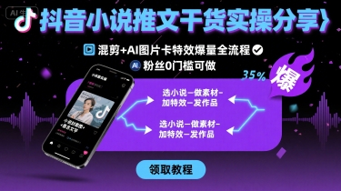 抖音小说推文干货实操分享，混剪+AI图片卡特效爆量全流程，0粉丝0门槛可做-桂芽网创