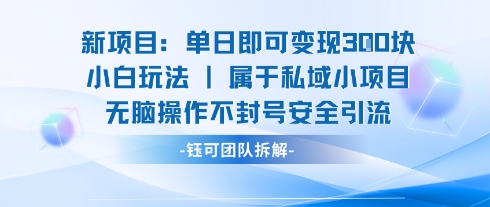 新项目单日即可变现3张的小白玩法无脑操作不封号安全引流-桂芽网创