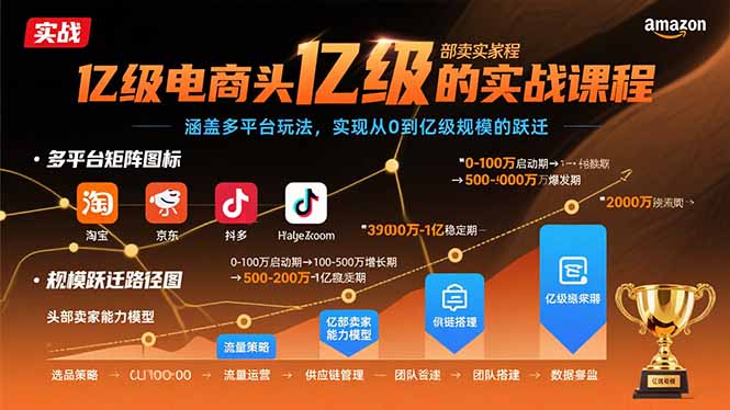 亿级电商头部卖家的实战课程：涵盖多平台玩法，实现从0到亿级规模的跃迁-桂芽网创