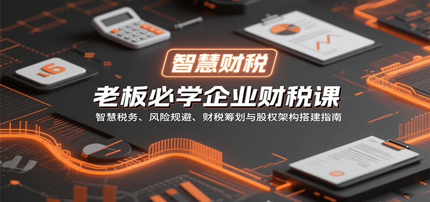 老板必学企业财税课：智慧税务、风险规避、财税筹划与股权架构搭建指南-桂芽网创