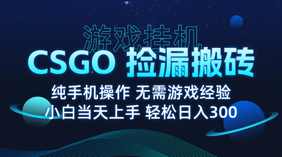 8月最新游戏搬砖，CSGO纯挂机，不需要玩游戏，实现真挂机，月入1W+-桂芽网创