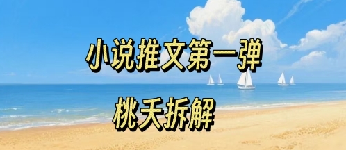 小说推文项目操作全流程第一弹，0粉就能做，门槛低非常适合新手-桂芽网创