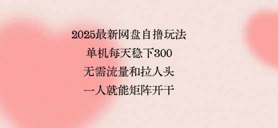 2025最新网盘自撸玩法，单机每天稳下3张，无需流量和拉人头，一个人就可轻松矩阵，全网独一份【揭秘】-桂芽网创