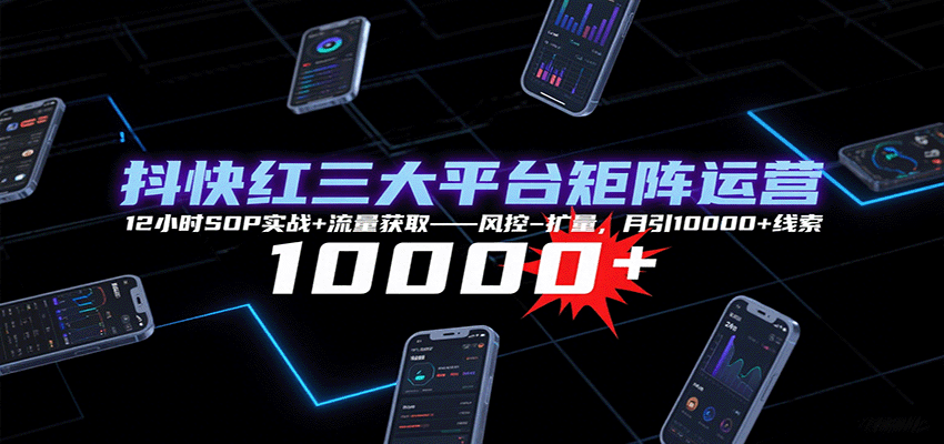 抖快红三大平台矩阵运营，12小时SOP实战+流量获取-风控-扩量，月引10000+线索-桂芽网创