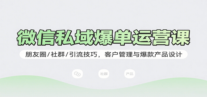 微信私域爆单运营课：朋友圈/社群/引流技巧，客户管理与爆款产品设计-桂芽网创
