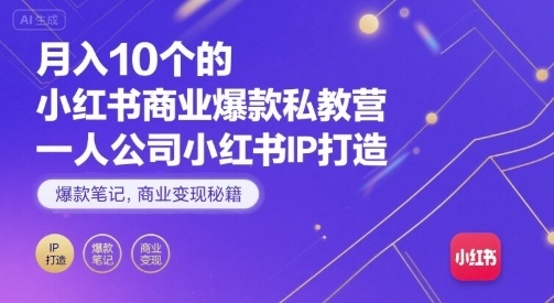 月入10个的小红书商业爆款私教营，一人公司小红书IP打造，爆款笔记，商业变现秘籍-桂芽网创