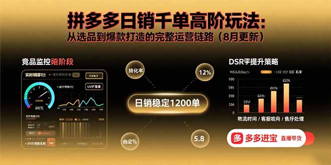 拼多多日销千单高阶玩法：从选品到爆款打造的完整运营链路(8月更新-桂芽网创