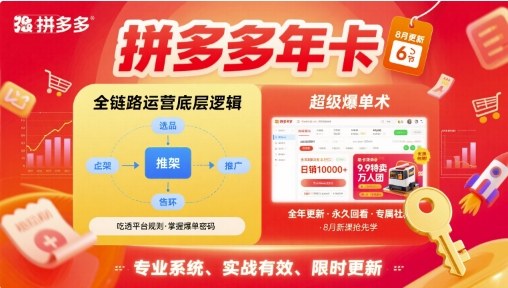 拼多多年卡【8月更新6节】拼多多全链路运营底层逻辑，超级爆单术-桂芽网创