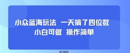 小众蓝海玩法 一天搞了四位数 小白可做 操作简单-桂芽网创