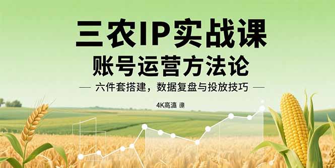 三农IP实战课：账号运营方法论，六件套搭建，数据复盘与投放技巧-桂芽网创