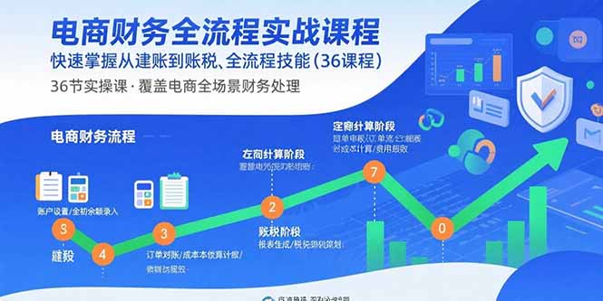电商财务全流程实战课程：快速掌握从建账到报税的全流程技能(36节课-桂芽网创