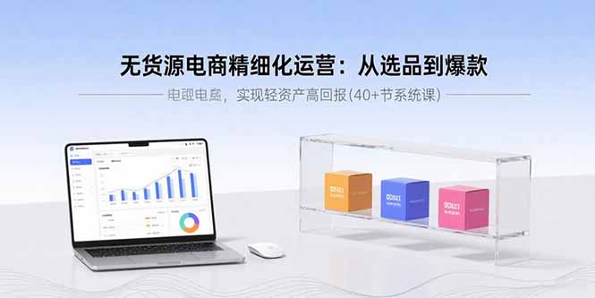 无货源电商精细化运营：从选品到爆款，实现轻资产高回报(40+节系统课-桂芽网创