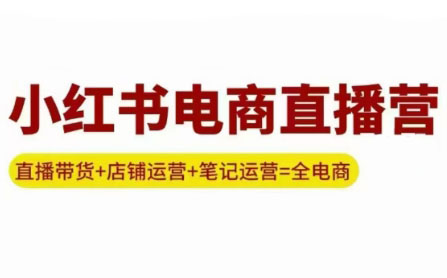 申铭老师·小红书电商直播营(更新)-桂芽网创