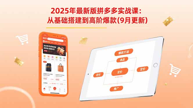 2025年最新版拼多多实战课：从基础搭建到高阶爆款(9月更新-桂芽网创