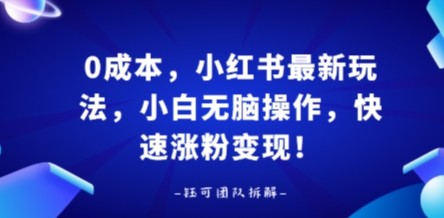 0成本，小红书最新玩法，小白无脑操作，快速涨粉变现-桂芽网创