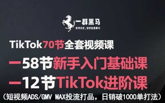 TikTok全套视频课，新手入门+进阶课，短视频ADS-GMV MAX投流打品，日销破1000单打法-桂芽网创