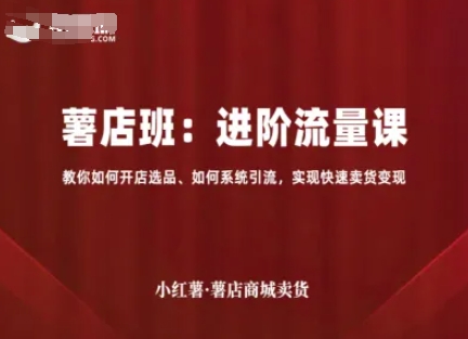 小红薯薯店商城卖货，进阶流量课，教你如何开店选品、如何系统引流，实现快速卖货变现-桂芽网创