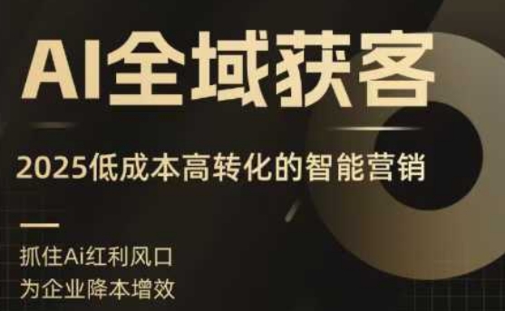 AI全域获客实训营，2025低成本高转化的智能营销，精准找客，高效营销-桂芽网创