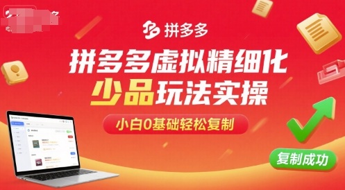 拼多多虚拟精细化少品玩法实操，小白0基础轻松复制-桂芽网创