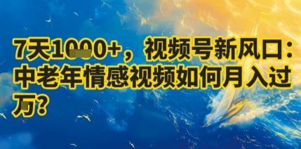 7天收益1k+，视频号新风口：中老年情感视频如何月入过W?-桂芽网创