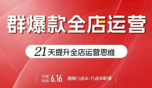 贾真电商群爆款全店运营，21天提升全店运营思维，起店、全店运营爆款不断-桂芽网创
