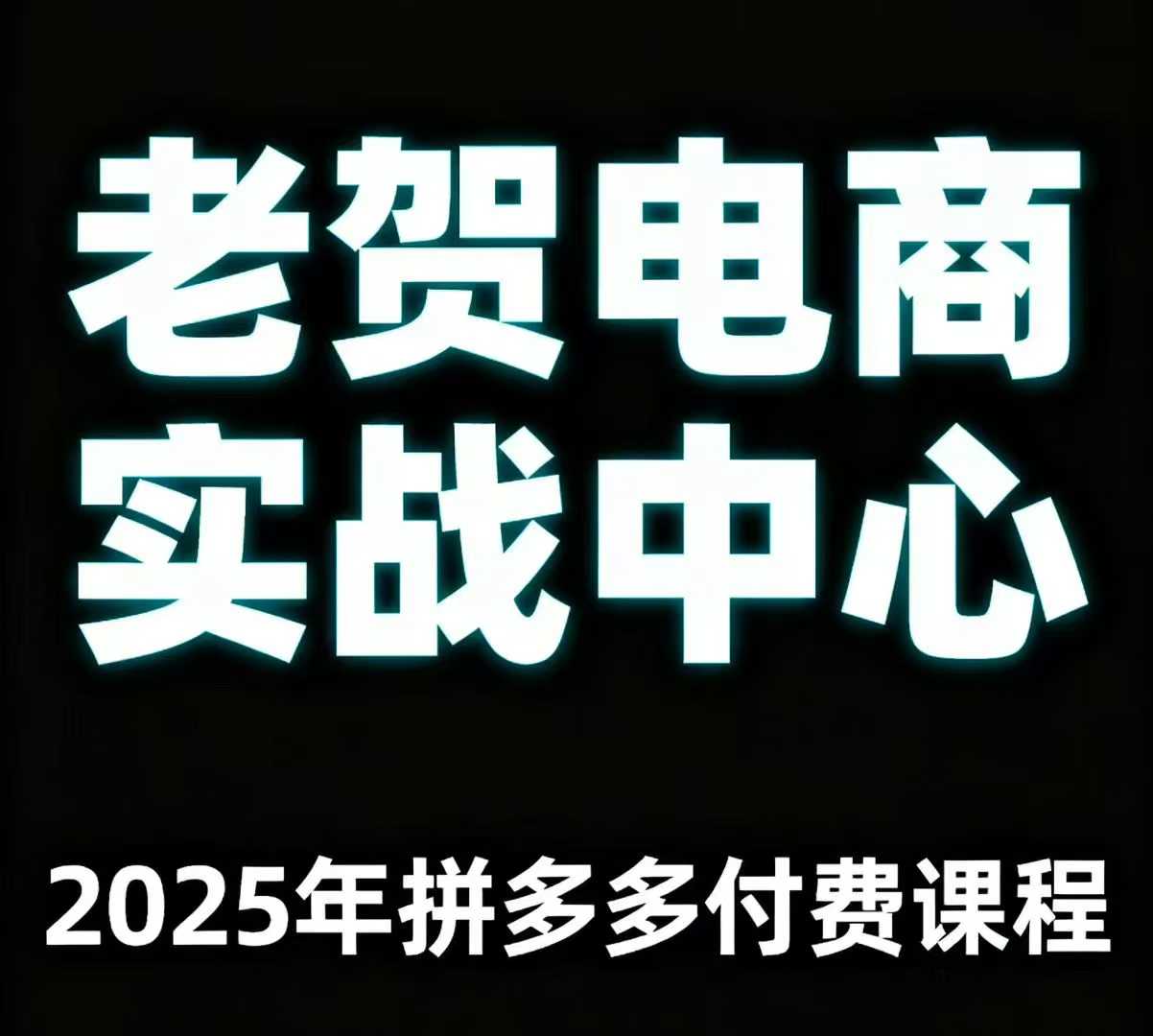 老贺电商2025年拼多多付费课程，用通俗易懂的方法告诉你多多怎么玩-桂芽网创