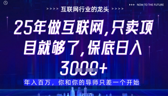 什么！25年你还在找项目做？风口早就变了，卖项目才是稳挣不赔【揭秘】-桂芽网创