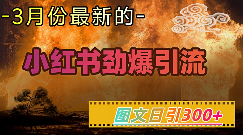 小红书超劲爆引流手段，图文日引300+轻松变现1W-桂芽网创