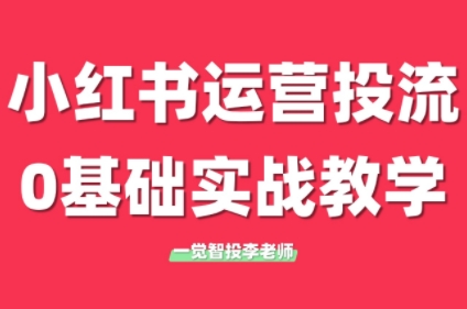 李老师·小红书运营投流，0基础实战教学(更新)-桂芽网创