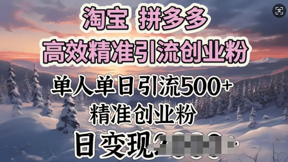 淘宝拼多多高效精准引流创业粉，单人单日引流500+创业粉，日变现多张-桂芽网创