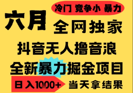 25年6月高爆抖音无人直播最新撸音浪掘金项目，小白可做，无脑日入1k+，门槛低可批量矩阵【揭秘】-桂芽网创