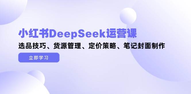 小红书DeepSeek运营课，选品技巧、货源管理、定价策略、笔记封面制作-桂芽网创