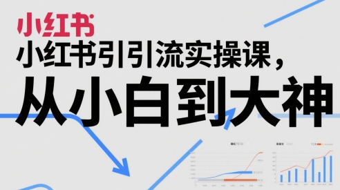 小红书引流实操课，从小白到大神-桂芽网创