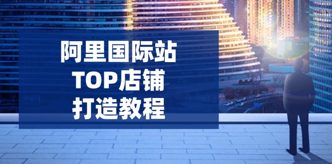 （14269期）阿里国际站TOP店铺打造教程：涵盖平台到高阶，解决运营难题，提升询盘-桂芽网创