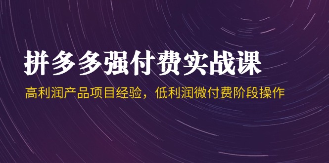拼多多强付费实战课-44期，高利润产品项目经验，低利润微付费阶段操作-桂芽网创
