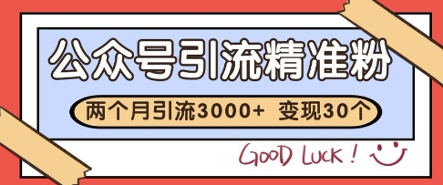 公众号精准粉引流玩法，2个月3000+精准粉，变现30个W【揭秘】-桂芽网创
