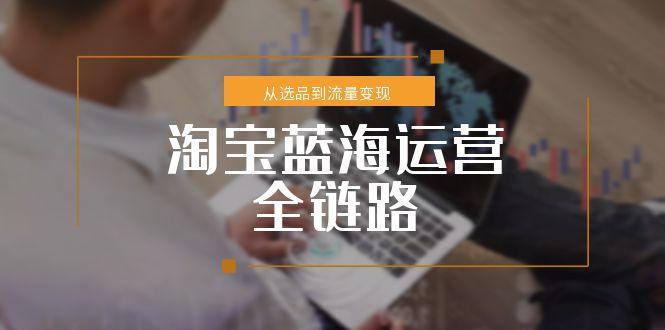 淘宝蓝海运营全链路，从选品到流量变现，小类目突围完整方案-桂芽网创