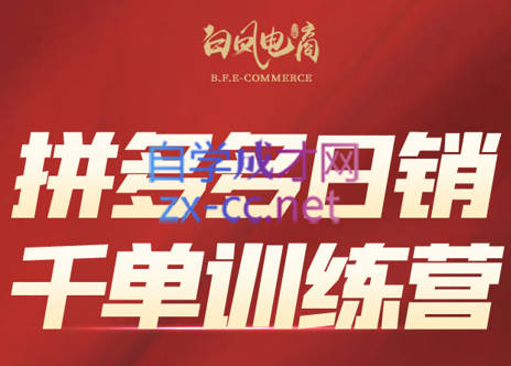 白凤电商·拼多多日销千单训练营(更新5月)-桂芽网创