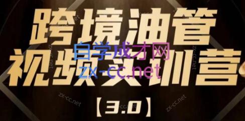 阿蔺Leo·跨境油管视频YouTube实训营(更新2025)-桂芽网创