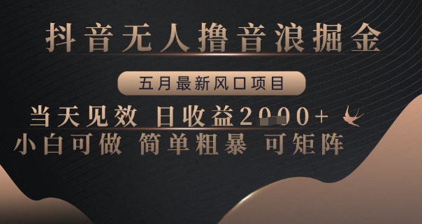 抖音无人撸音浪掘金，五月最新风口项目，当天见效，日收益多张，小白可做简单粗暴可矩阵【揭秘】-桂芽网创