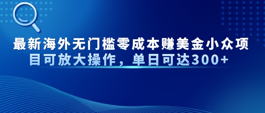 最新海外无门槛零成本赚美金小众项目可放大操作，单日可达300+-桂芽网创