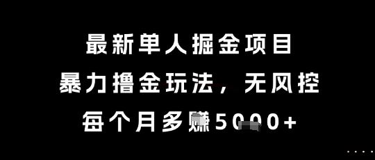 最新单人掘金项目，暴力撸金玩法，无风控，每个月多挣5k+【揭秘】-桂芽网创