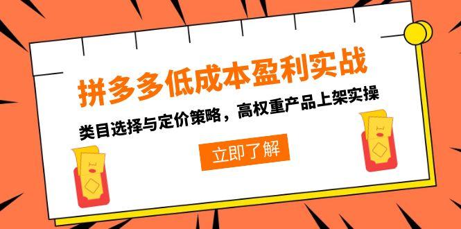 拼多多低成本盈利实战，类目选择与定价策略，高权重产品上架实操-桂芽网创