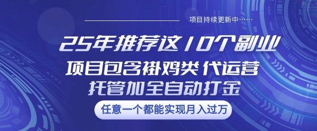 25年推荐这10个副业项目包含褂鸡类、代运营托管类、全自动打金类【揭秘】-桂芽网创