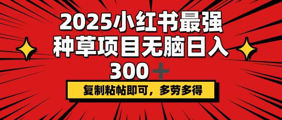 （14375期）2025小红书最强种草项目，无脑日入300+，复制粘帖即可，多劳多得-桂芽网创