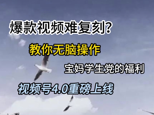 视频号4.0重磅上线，爆款视频难复刻？教你无脑操作宝妈学生党的福利【揭秘】-桂芽网创