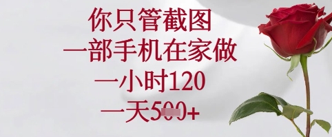 你只管截图，一部手机在家可以做，一小时120.一天5张+【揭秘】-桂芽网创