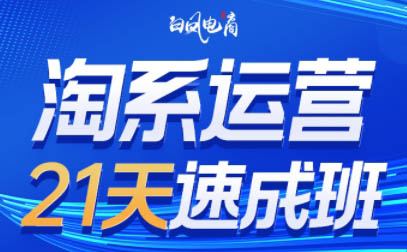 白凤电商·淘系运营21天速成班(更新5月)-桂芽网创