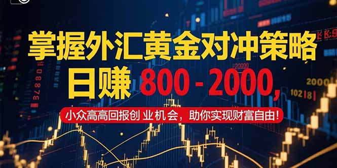 掌握外汇黄金对冲策略，日赚 800 – 2000，小众高回报创业机会，助你实…-桂芽网创