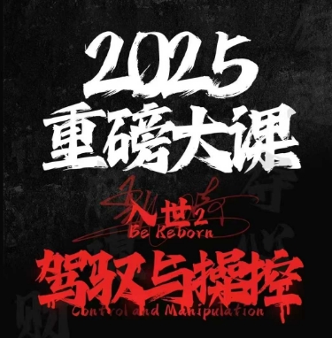 2025重磅大课，入世2，驾驭与控制-桂芽网创